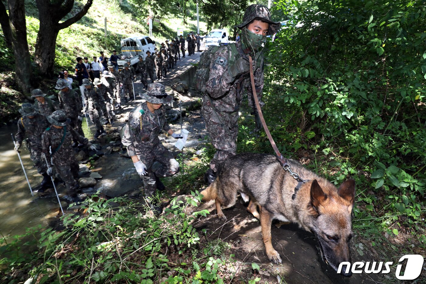 본문 이미지 - 산악수색 작전에 특화된 특공대와 기동대 장병들이 30일 오후 충북 청주시 상당구의 한 야산에서 실종된 조은누리양&#40;14&#41; 수색작업에 투입되고 있다. 2019.7.30 /뉴스1 ⓒ News1 김용빈 기자