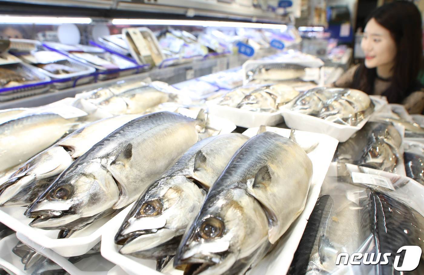 본문 이미지 - 마트에서 고객이 고등어를 고르고 있다. (롯데마트 제공)