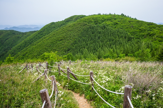 천상의 화원으로 불리는 대덕산. 이하 한국관광공사 제공