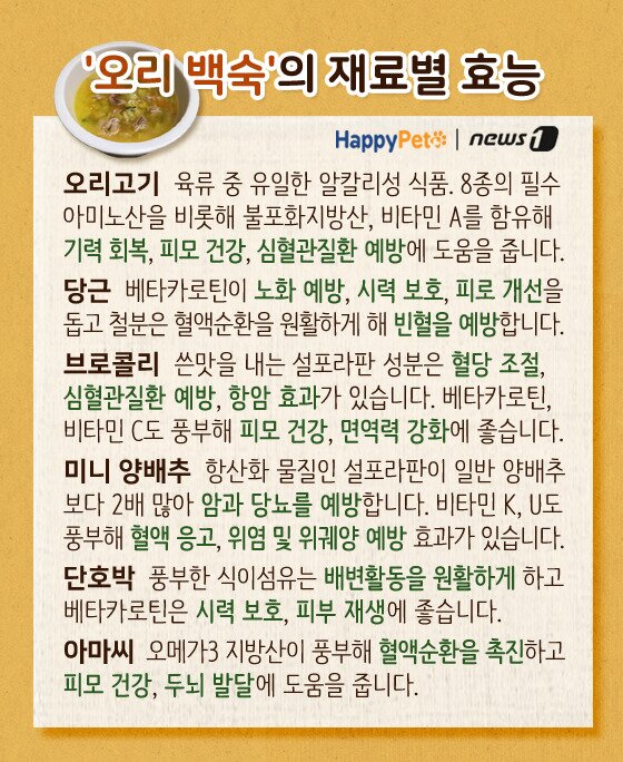 본문 이미지 -  