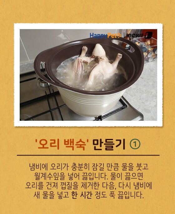 본문 이미지 -  