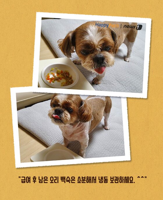본문 이미지 -  