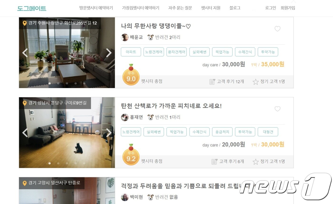본문 이미지 - 펫시터 중개 사이트 '도그메이트' ⓒ 뉴스1