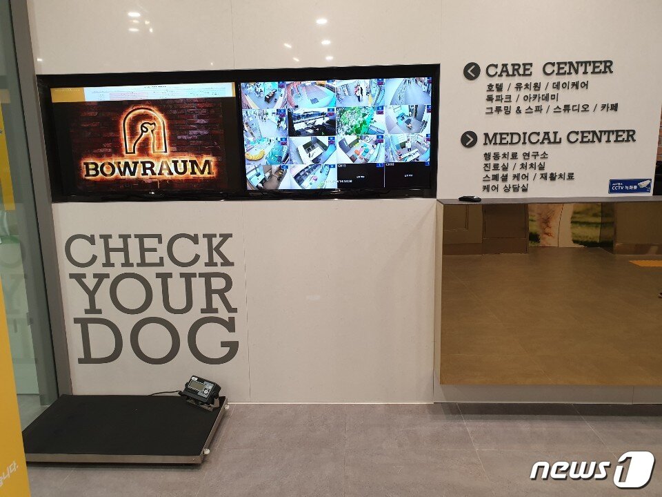 본문 이미지 - 바우라움 로비.  보호자들이 모두 볼 수 있는 CCTV ⓒ 뉴스1 김연수 기자