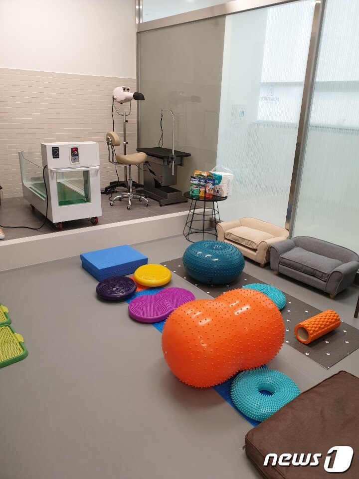 본문 이미지 - 재활치료 센터실 ⓒ 뉴스1 김연수 기자
