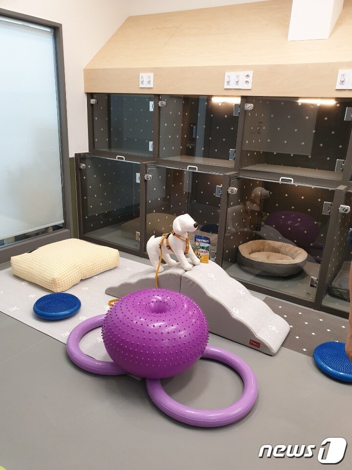 본문 이미지 - 스페셜 케어실 ⓒ 뉴스1 김연수 기자