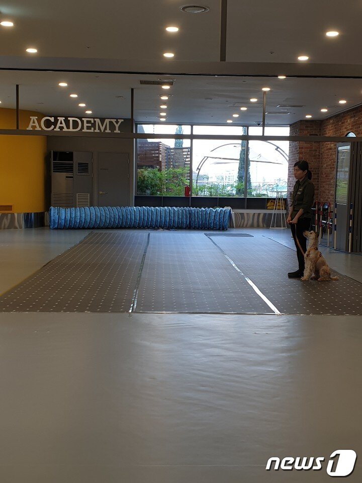 본문 이미지 - 바우라움 실내교육장 ⓒ 뉴스1  김연수 기자