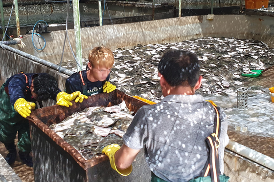 경북도, 어업 대전환·해양관광 육성…기후변화·어촌소멸 대응