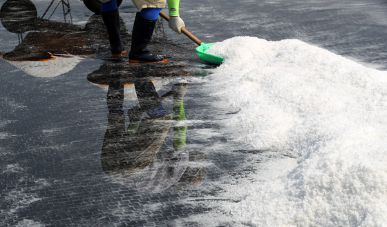지적장애인 10년간 염전노예로…신안 60대 가해자 징역 3년 선고