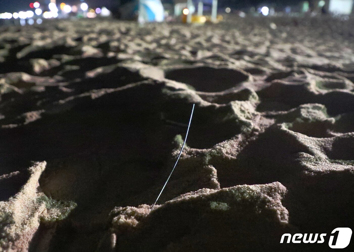 본문 이미지 - 지난 1일 강릉 경포해변에서 발견된 스파클라(막대형 불꽃놀이)의 잔여물의 모습.2019.08.01/뉴스1 ⓒ News1 이찬우 기자