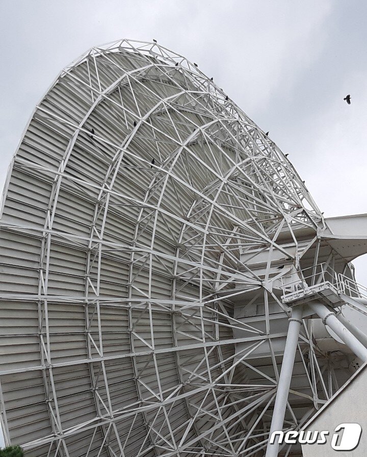 본문 이미지 - 수년 째 흉물로 방치되고 있는 충북 보은군 마로면 적암리 kt sat 보은위성센터 안테나에 2일 까마귀들이 진을 치고 있다. 이 위성센터는 1985년 3월 개국했으나 해저 광케이블이 발달하면서 기능과 활용도가 떨어지고, 수익 창출이 되지 않자 2013년 10월 중계업무를 중단하고 문을 닫았다.2019.08.02. ⓒ News1 김기준 기자