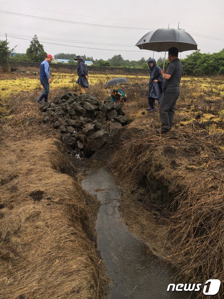 본문 이미지 - '제2공항 동굴숨골조사단'이 7월28일부터 8월15일까지 실시한 조사에서 확인한 숨골로 빗물이 흘러들어가는 모습.(제주참여환경연대 제공)2019.8.20/뉴스1 