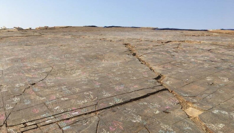 본문 이미지 - 진주 정촌 뿌리일반산업단지 내 백악기 공룡 익룡 발자국 화석.(문화재청 제공) 2019.08.22/ 뉴스1