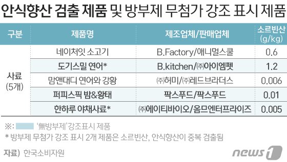 본문 이미지 - ⓒ News1 이은현 디자이너