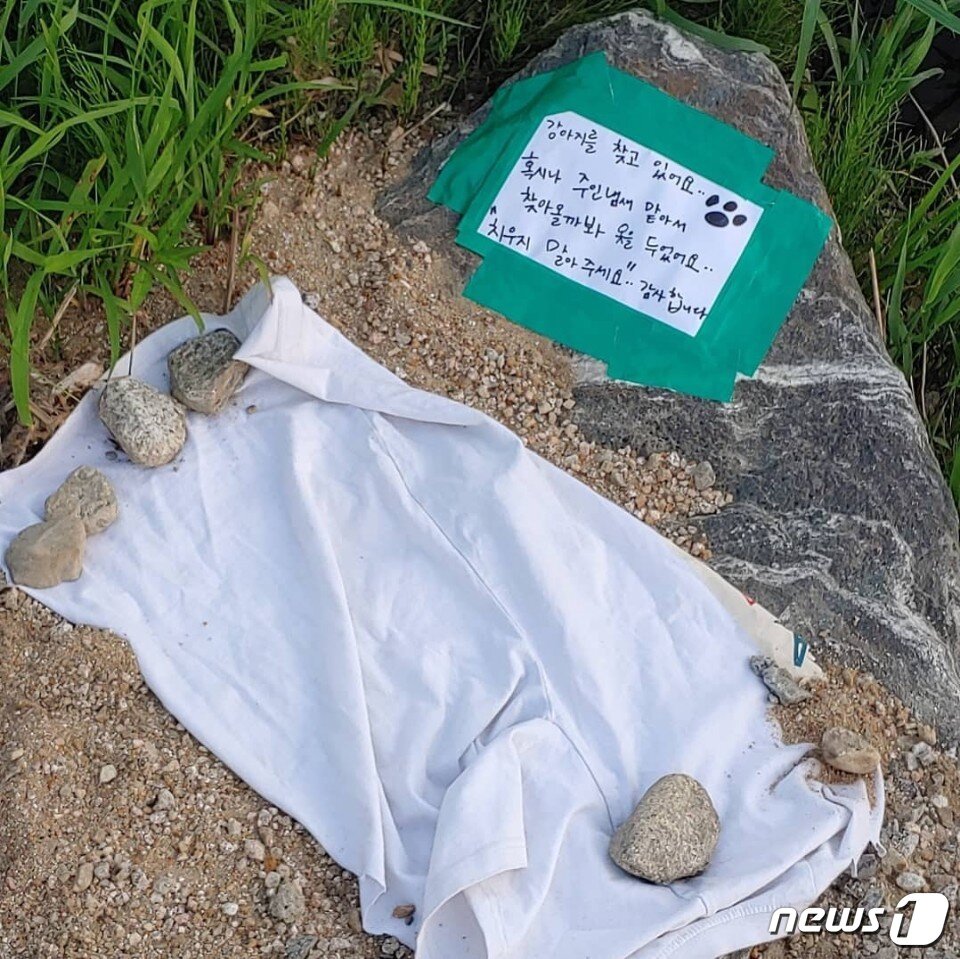 본문 이미지 - 반려견을 잃어버렸을 경우 주인의 향기가 밴 옷이나 담요를 놔두면 도움이 되는 것으로 알려졌다. 사진 설인아 인스타그램 갈무리 ⓒ 뉴스1