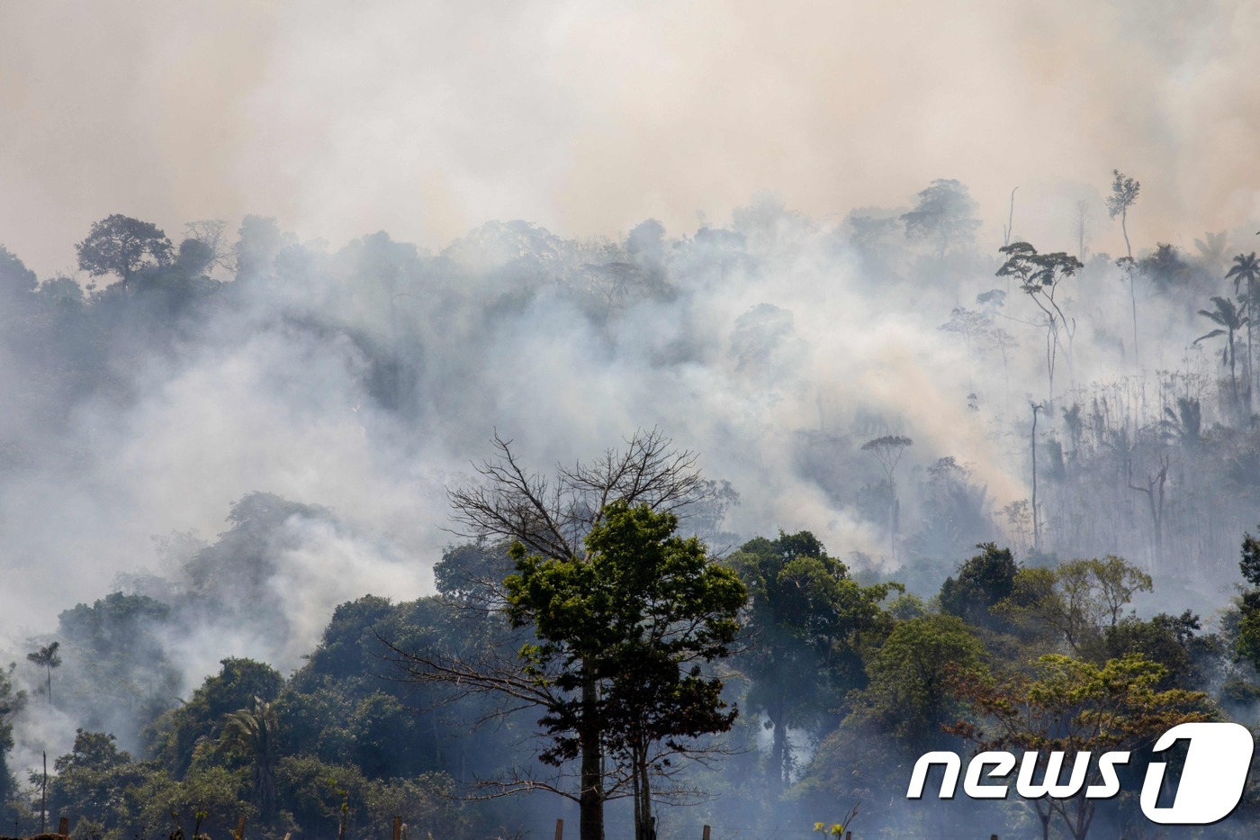 (알타미라 AFP=뉴스1) 우동명 기자 = 27일 (현지시간) 브라질 북부 파라주의 알타미라에 있는 아마존 열대우림에서 화재가 발생해 검은 연기가 솟아오르고 있다.ⓒ AFP=뉴스1 …
