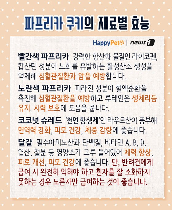 본문 이미지 -  