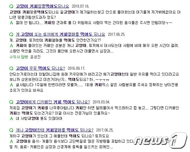 본문 이미지 - 인터넷을 검색하면 고양이에게 커피를 먹여도 되냐는 질문을 어렵지 않게 볼 수 있다. 사진 포털사이트 게시판 ⓒ 뉴스1