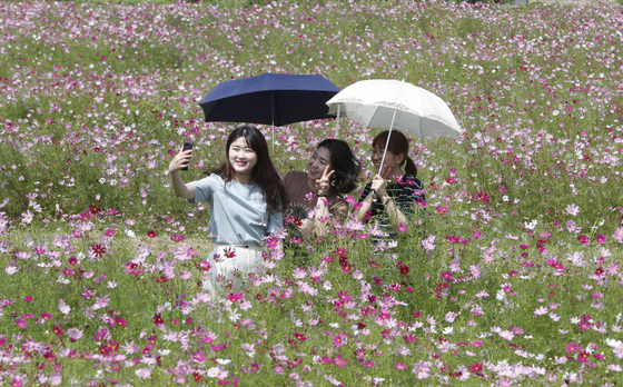 [오늘의 날씨] 대전·충남(14일, 목)…낮 최고 33도, 더위