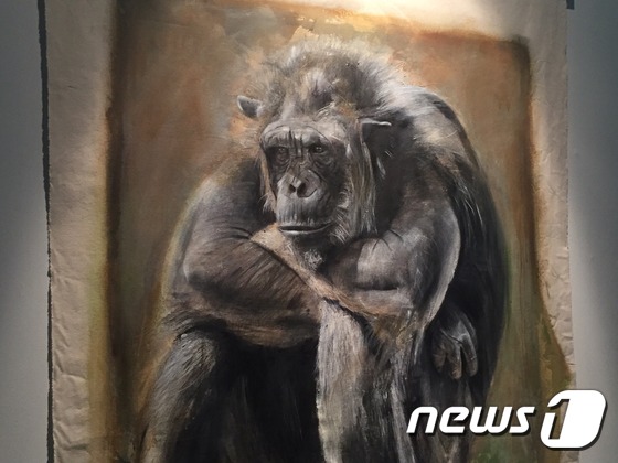 러스 로넷의 '침팬지' © 뉴스1 문동주 인턴기자