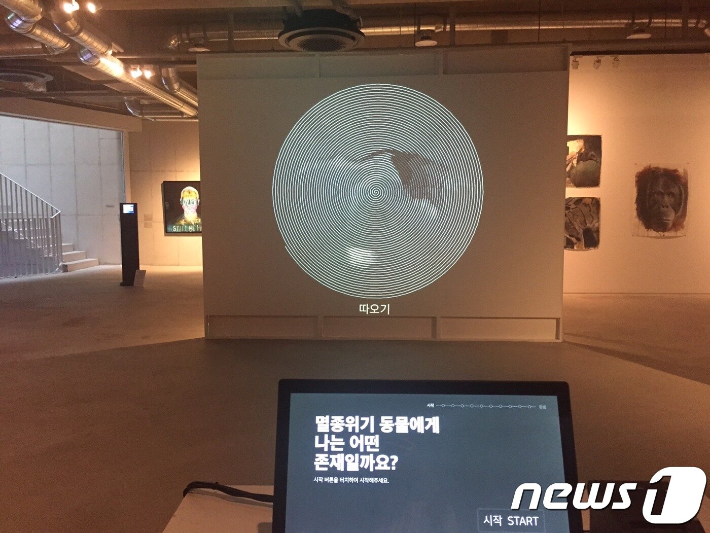 본문 이미지 - 애니멀 키오스크를 통해 나의 환경지수를 알아볼 수 있다 ⓒ 뉴스1