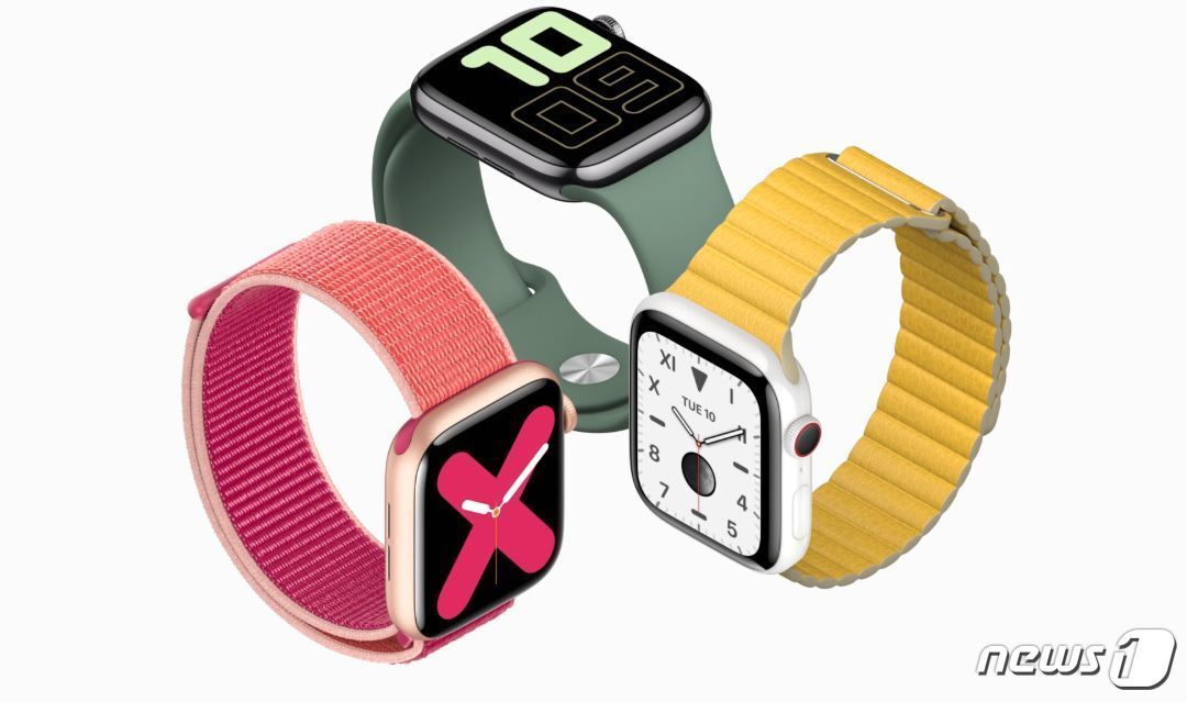 본문 이미지 - ⓒ 뉴스1