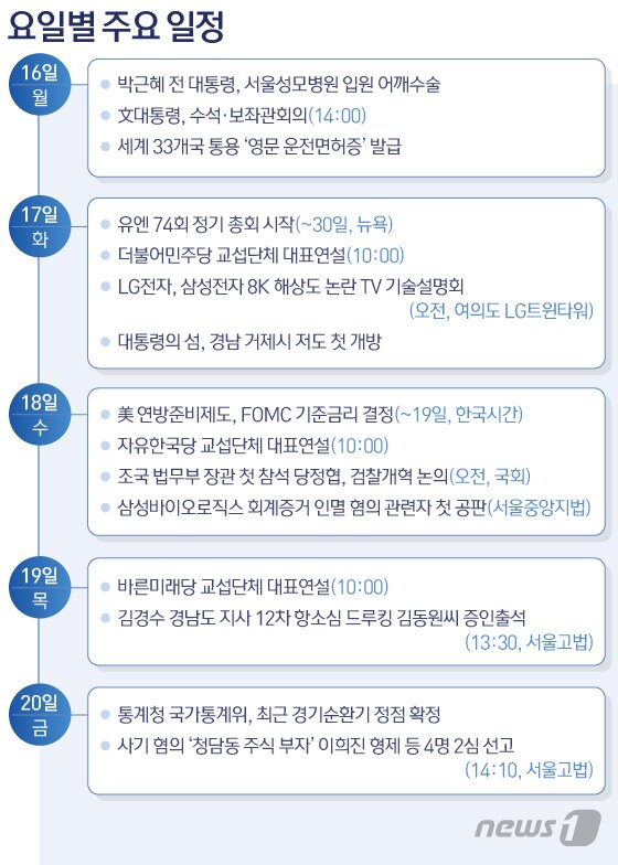 본문 이미지 - ⓒ News1 김일환 디자이너