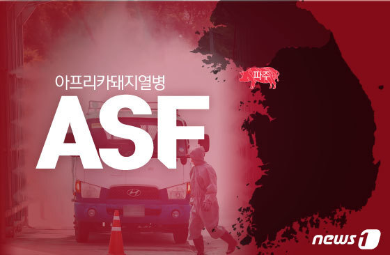 5000마리 살처분…당진 아프리카돼지열병 추가 발생 비상