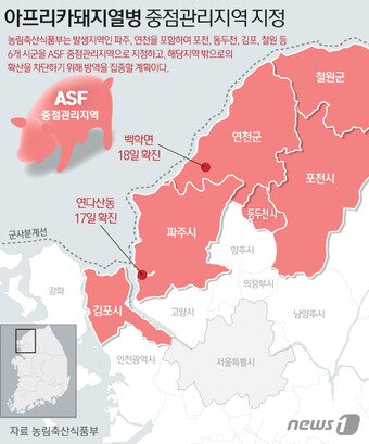 본문 이미지 - ⓒ News1 김일환 디자이너