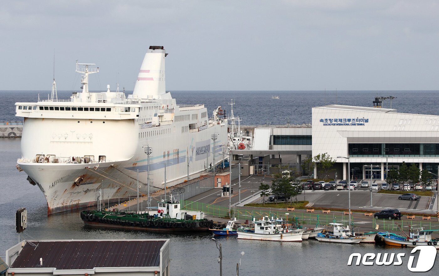 본문 이미지 - 속초항에 정박한 한창강원호. ⓒ News1