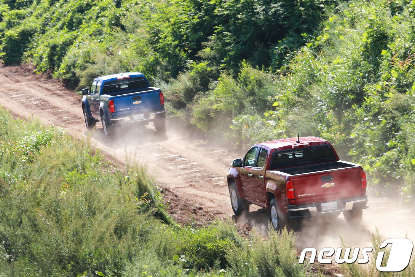 본문 이미지 - 쉐보레 콜로라도ⓒ 뉴스1
