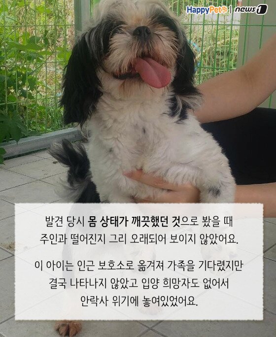 본문 이미지 -  
