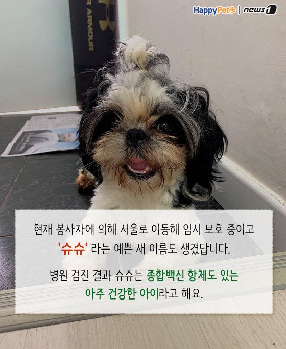 본문 이미지 -  