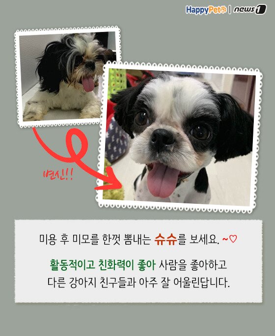 본문 이미지 -  
