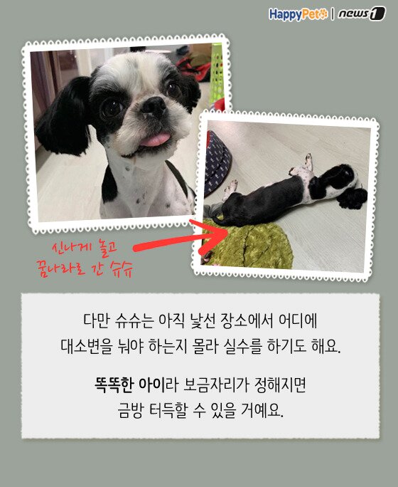 본문 이미지 -  