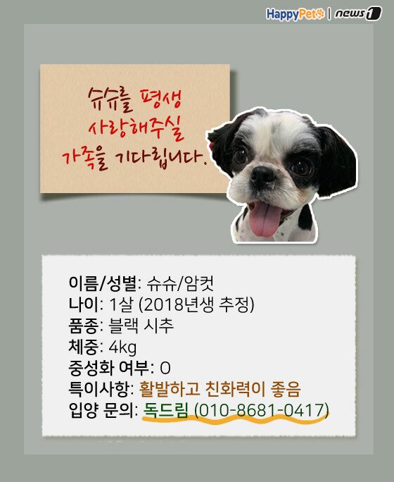 본문 이미지 -  