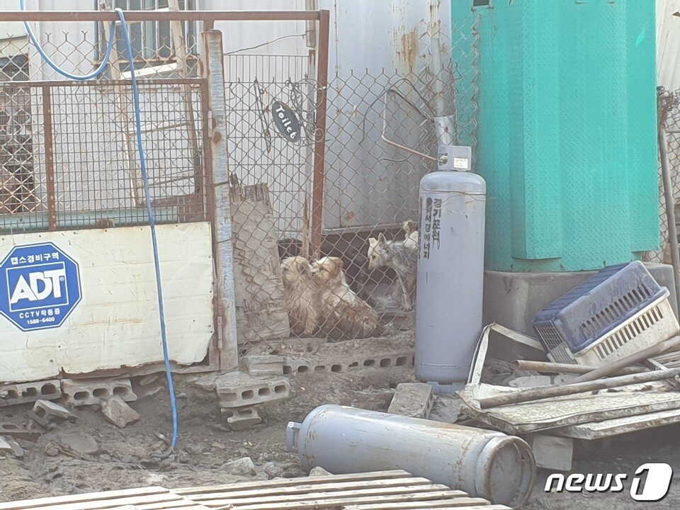 본문 이미지 - 애린원 입구에서 K소장과 경찰이 대치하고 있다. ⓒ 뉴스1