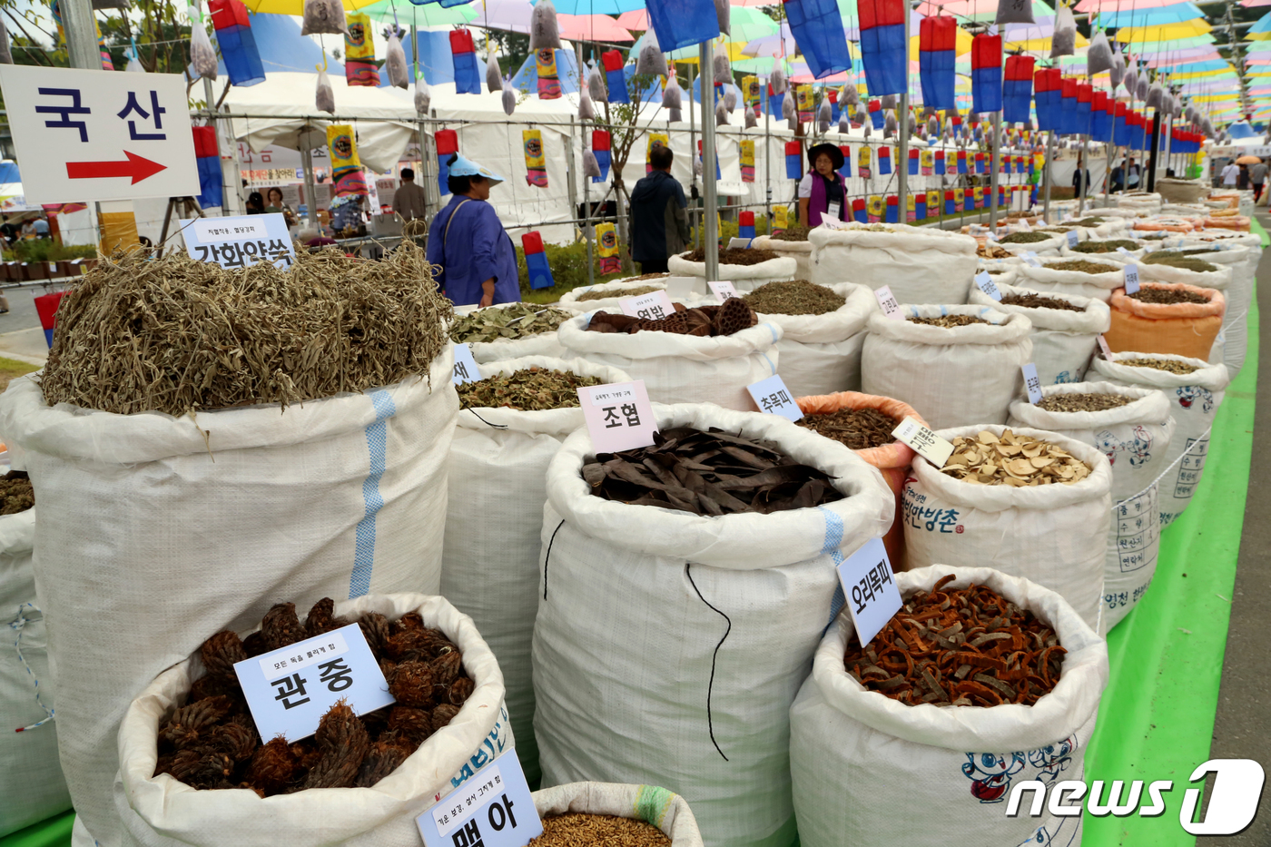 (영천=뉴스1) 정우용 기자 = 27일 경북 영천시 한의마을에서 개막한 제17회 영천한약축제장에 수백종류의 국산 한약재가 전시돼 있다.2019.9.27/뉴스1