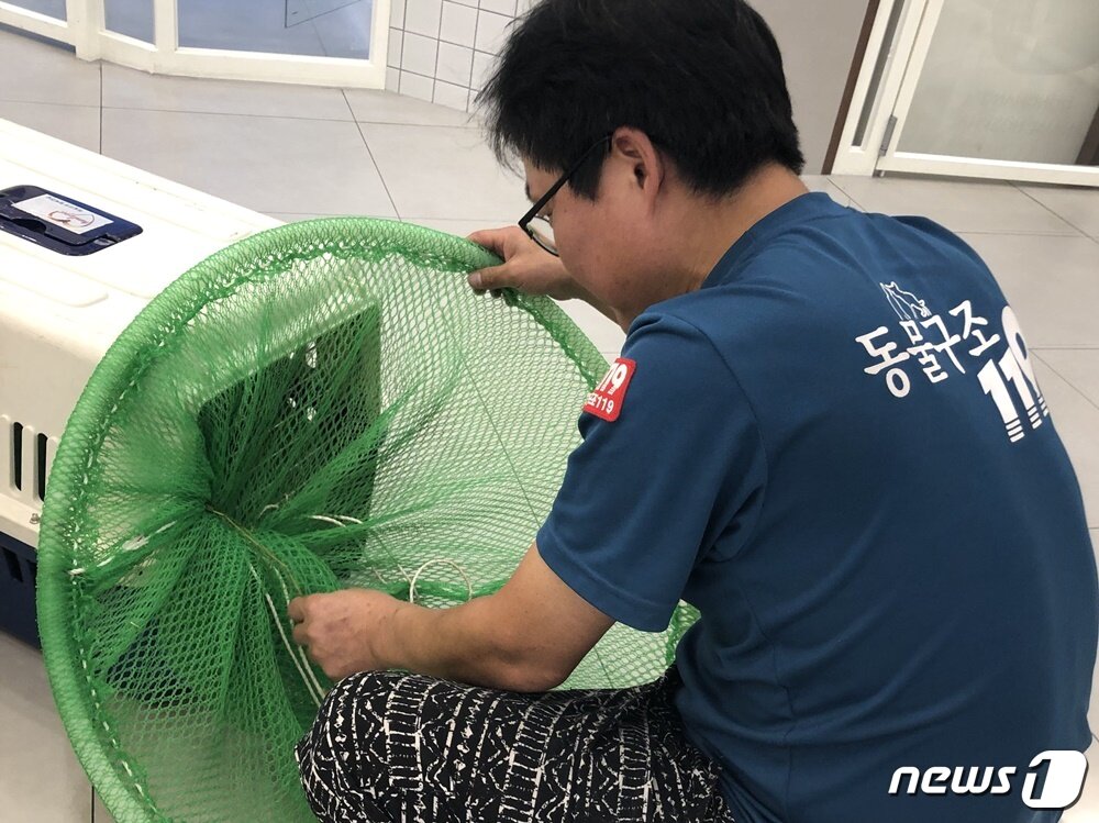 본문 이미지 - 김포 일대에서 돌아다니던 '흰둥이'를 동물구조119가 구조했다. 사진 김포 흰둥이 구조 모임 제공 ⓒ 뉴스1