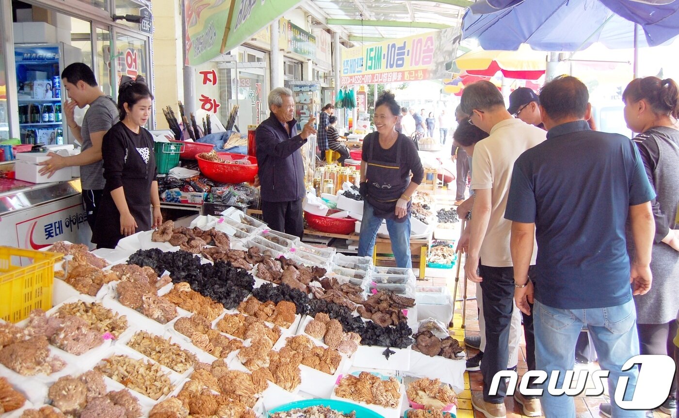 본문 이미지 - 청천면 버섯랜드 일원에서 버섯축제가 열린 가운데 관광객들이 버섯 구경을 하고 있다.ⓒ 뉴스1