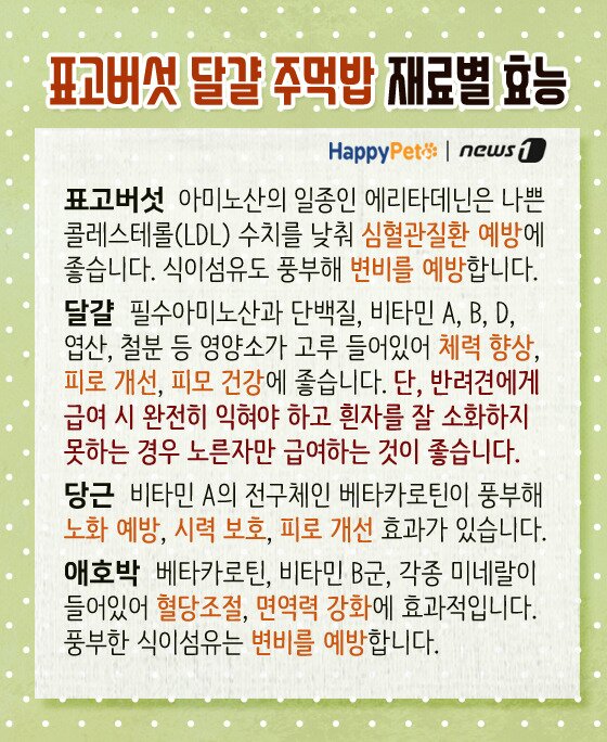 본문 이미지 -  