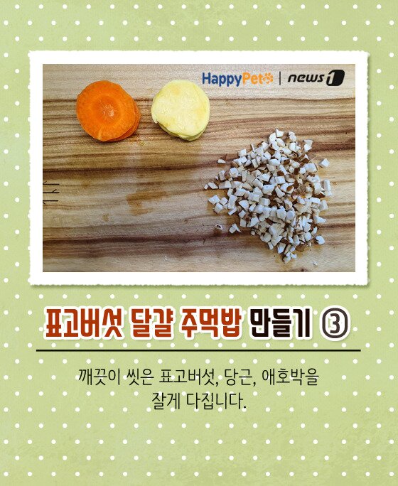 본문 이미지 -  