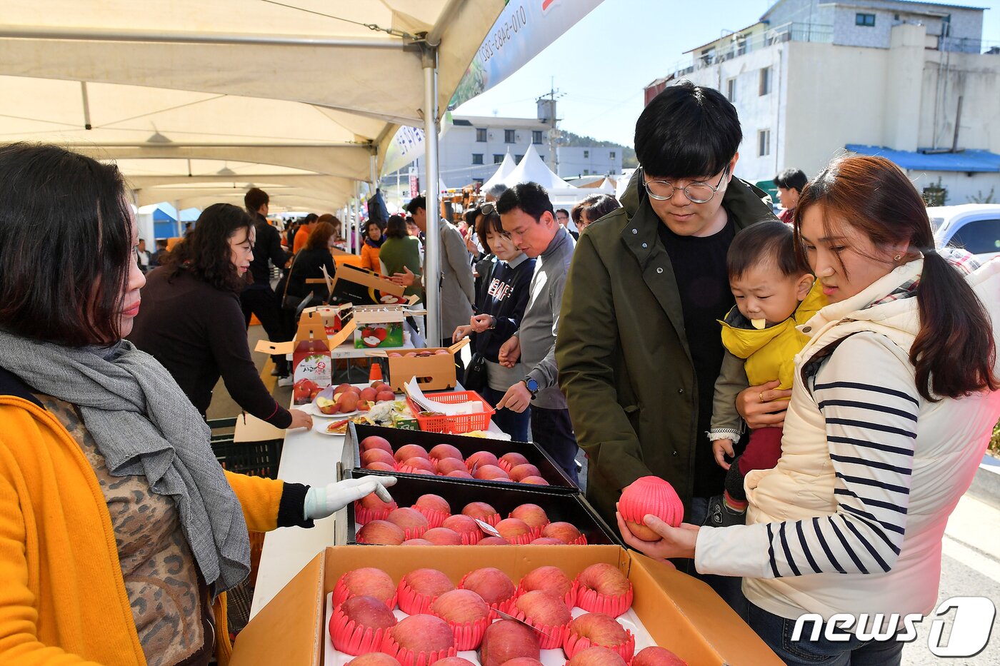 본문 이미지 - 정선사과축제 ⓒ News1 