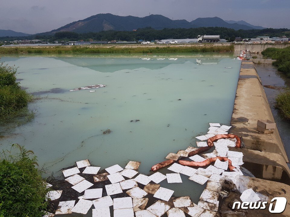 본문 이미지 - 충북 충주시 주덕읍에 위치한 요도천이 희뿌연 유독물질로 뒤덮여 있다ⓒ 뉴스1