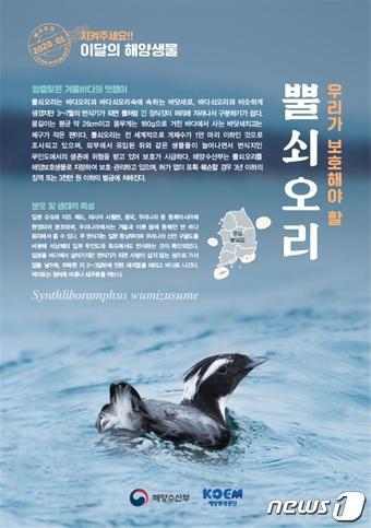 본문 이미지 - ⓒ 뉴스1