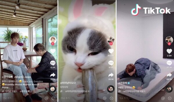 본문 이미지 - ⓒ 뉴스1