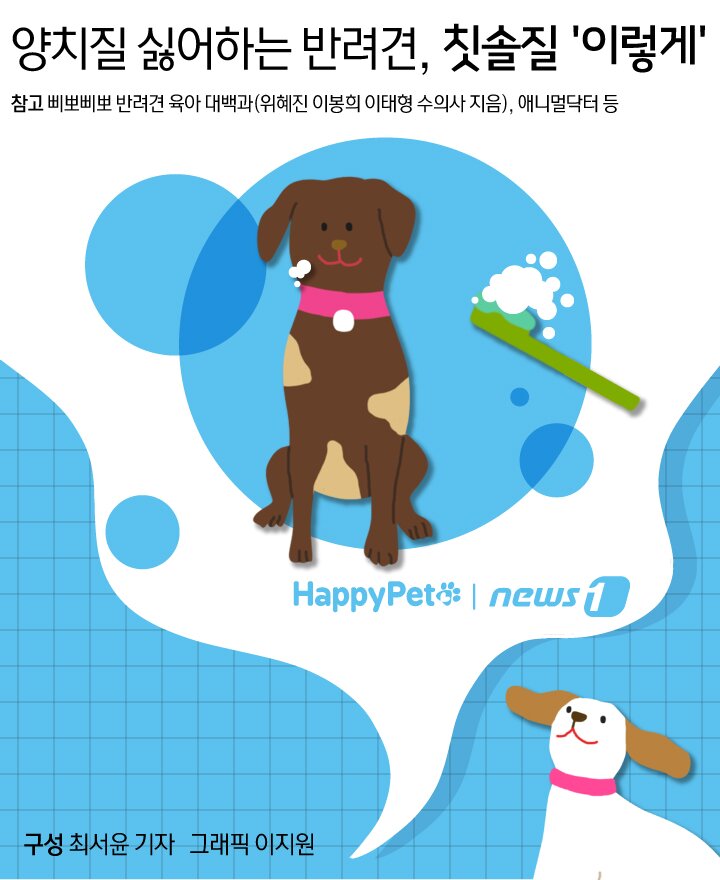본문 이미지 -  