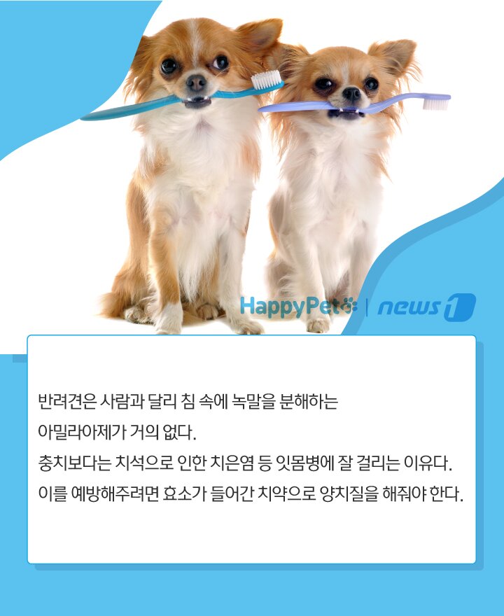 본문 이미지 -  