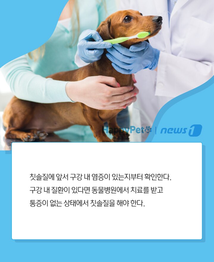 본문 이미지 -  