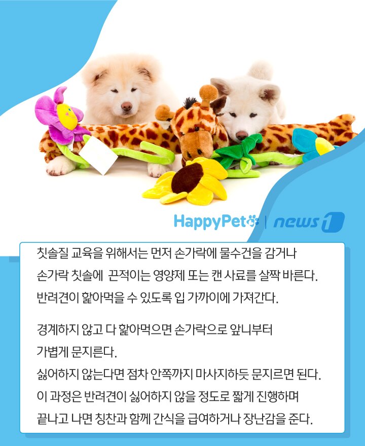 본문 이미지 -  